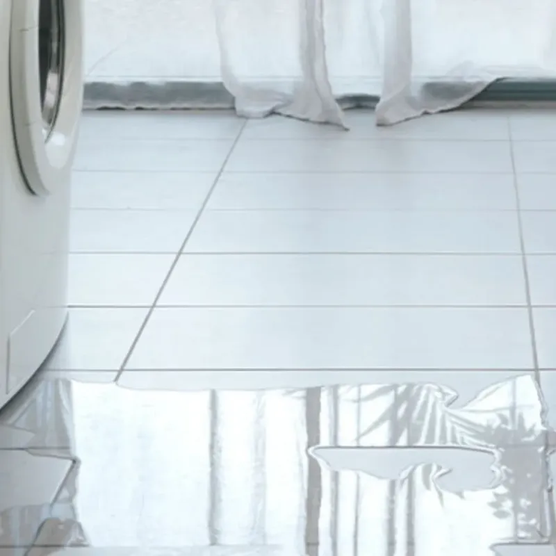 Appliance Leak Cleanup in Magnolia, TX