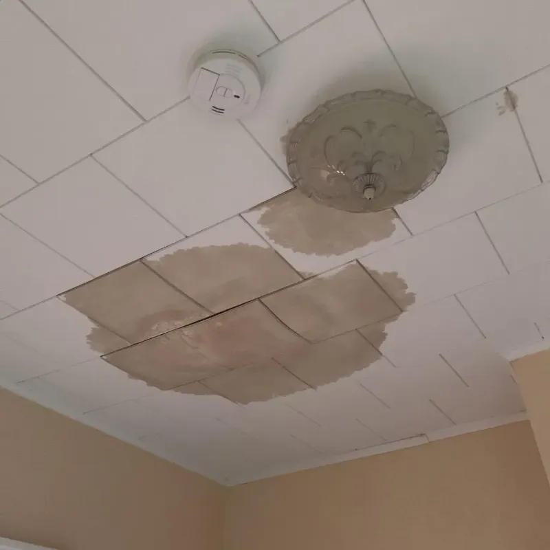 Ceiling Water Damage Repair in Magnolia, TX