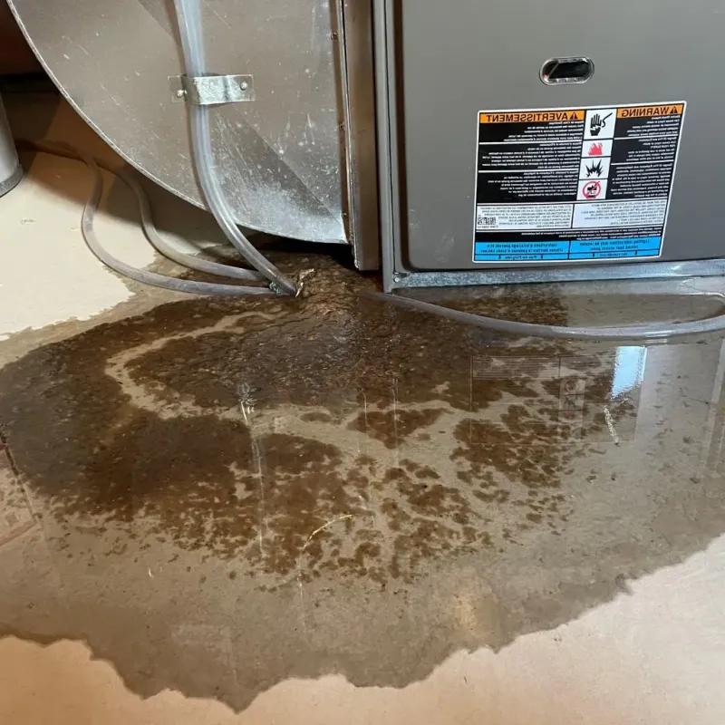 Pipe Burst and Leak Restoration in Magnolia, TX